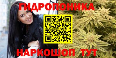 тгк Заволжье